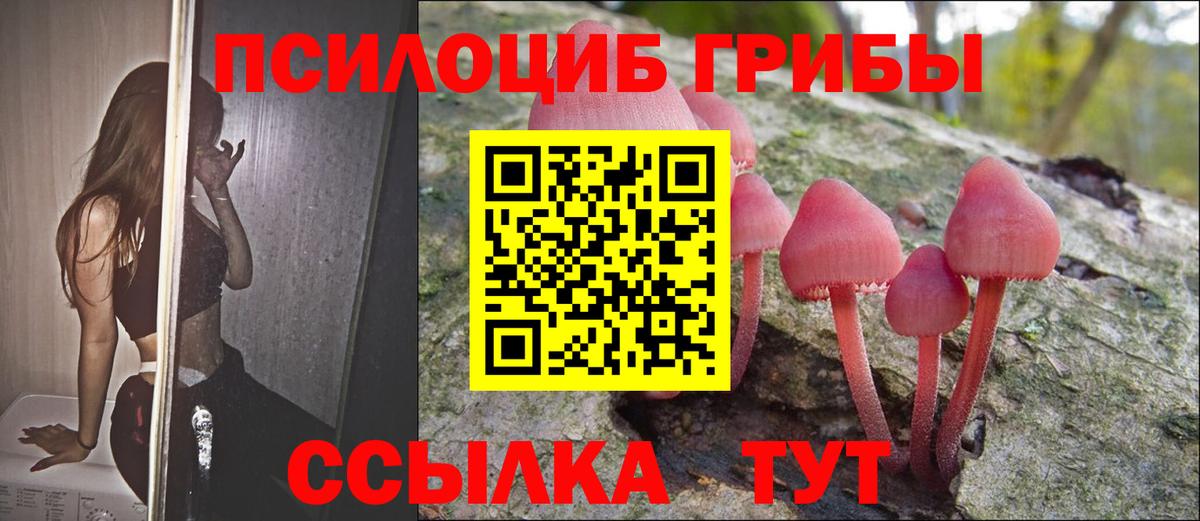 Псилоцибиновые грибы Cubensis  Вход с VPN  Киселёвск  Галлюциногенные грибы мухоморы 