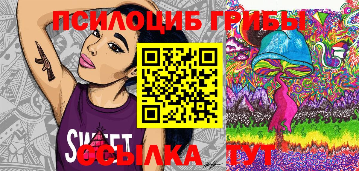 Псилоцибиновые грибы Psilocybine cubensis Киселёвск